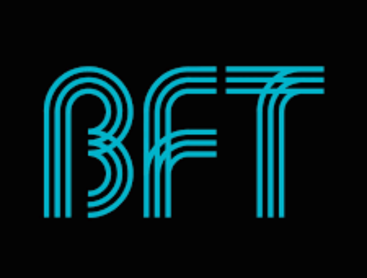 BFT (body fit training)