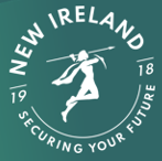New Ireland Assurance