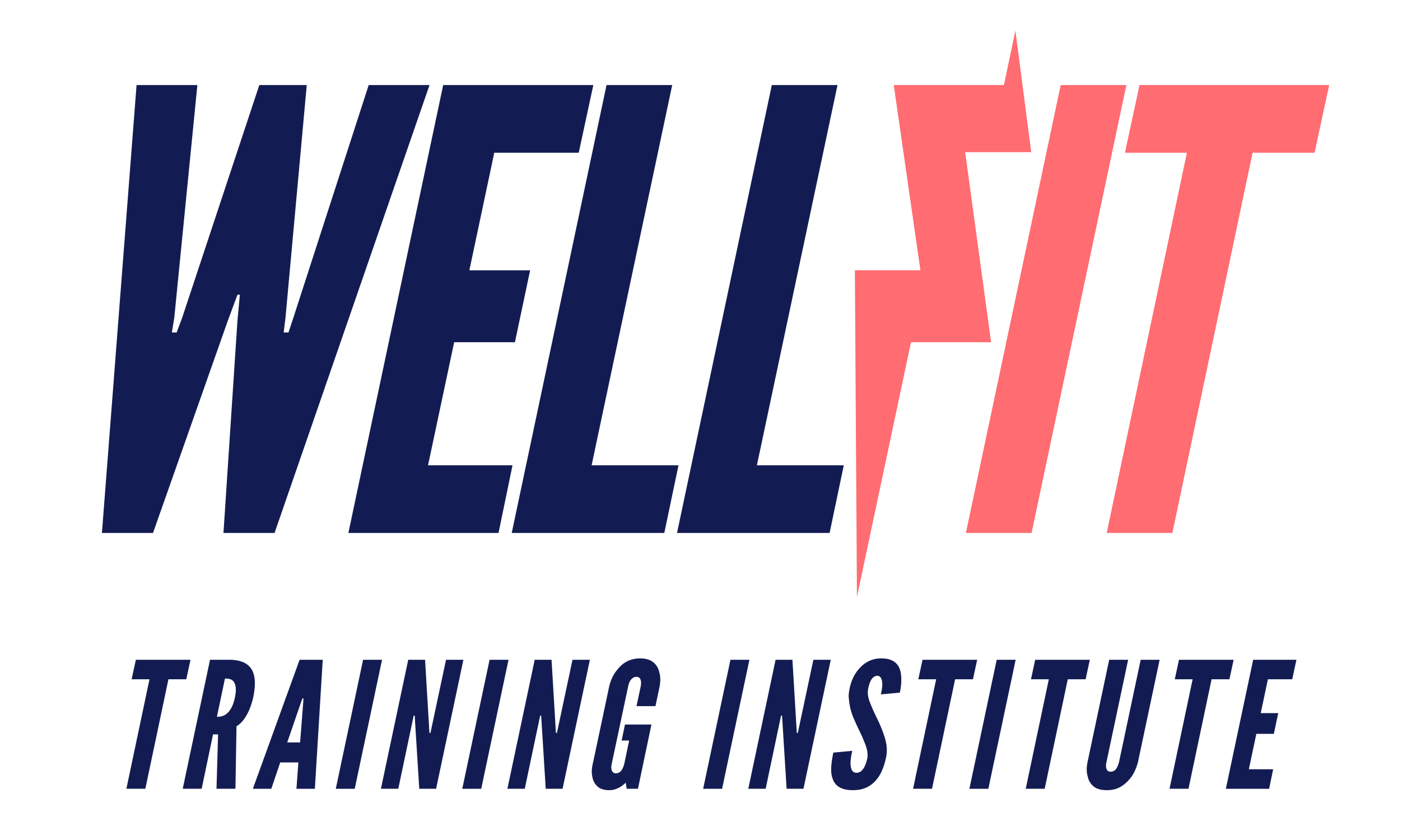The WellFit Training Institute