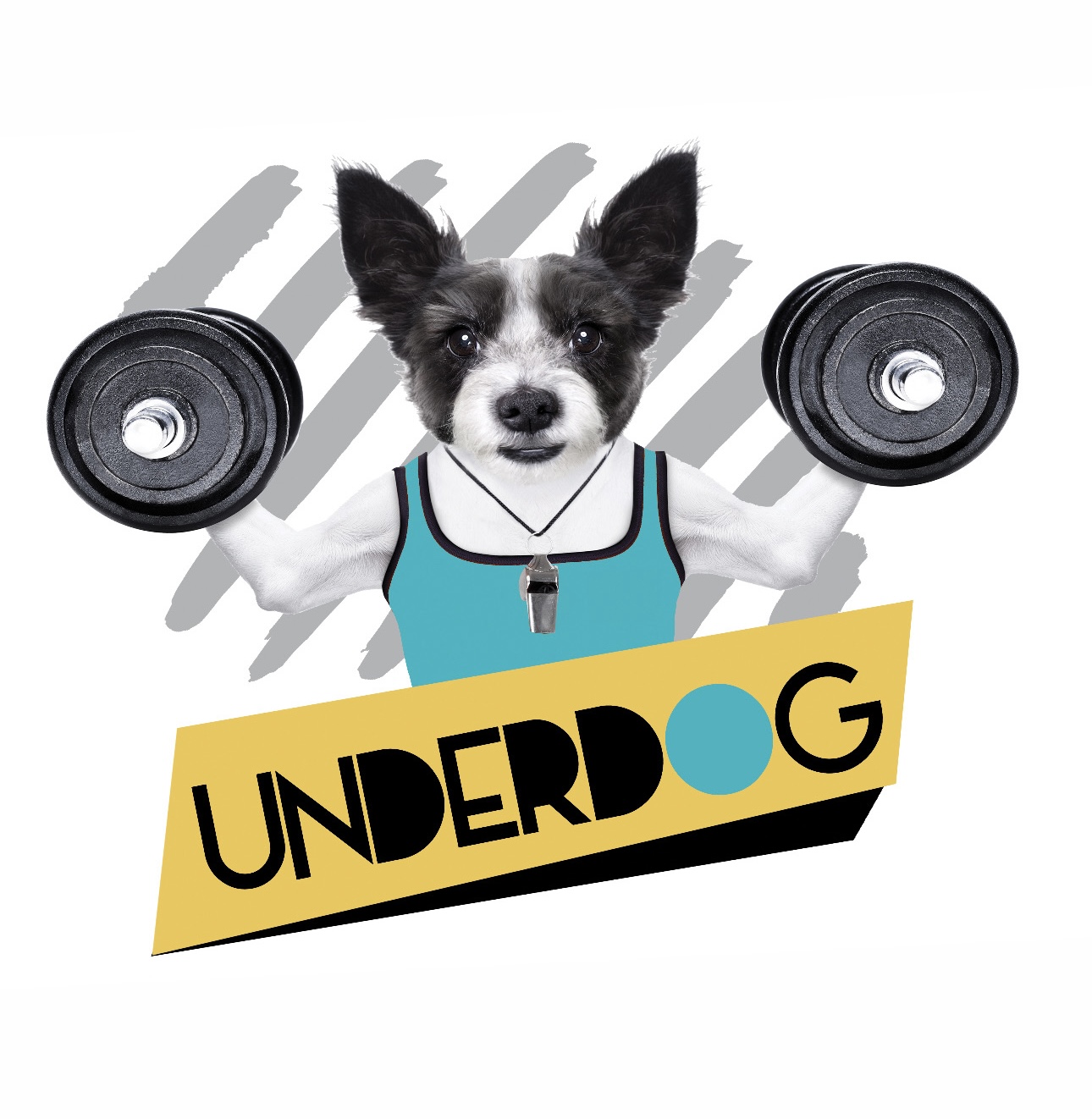 the underdog boutique gym