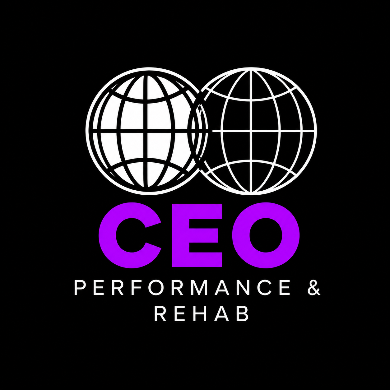 CEO Performance & Rehab