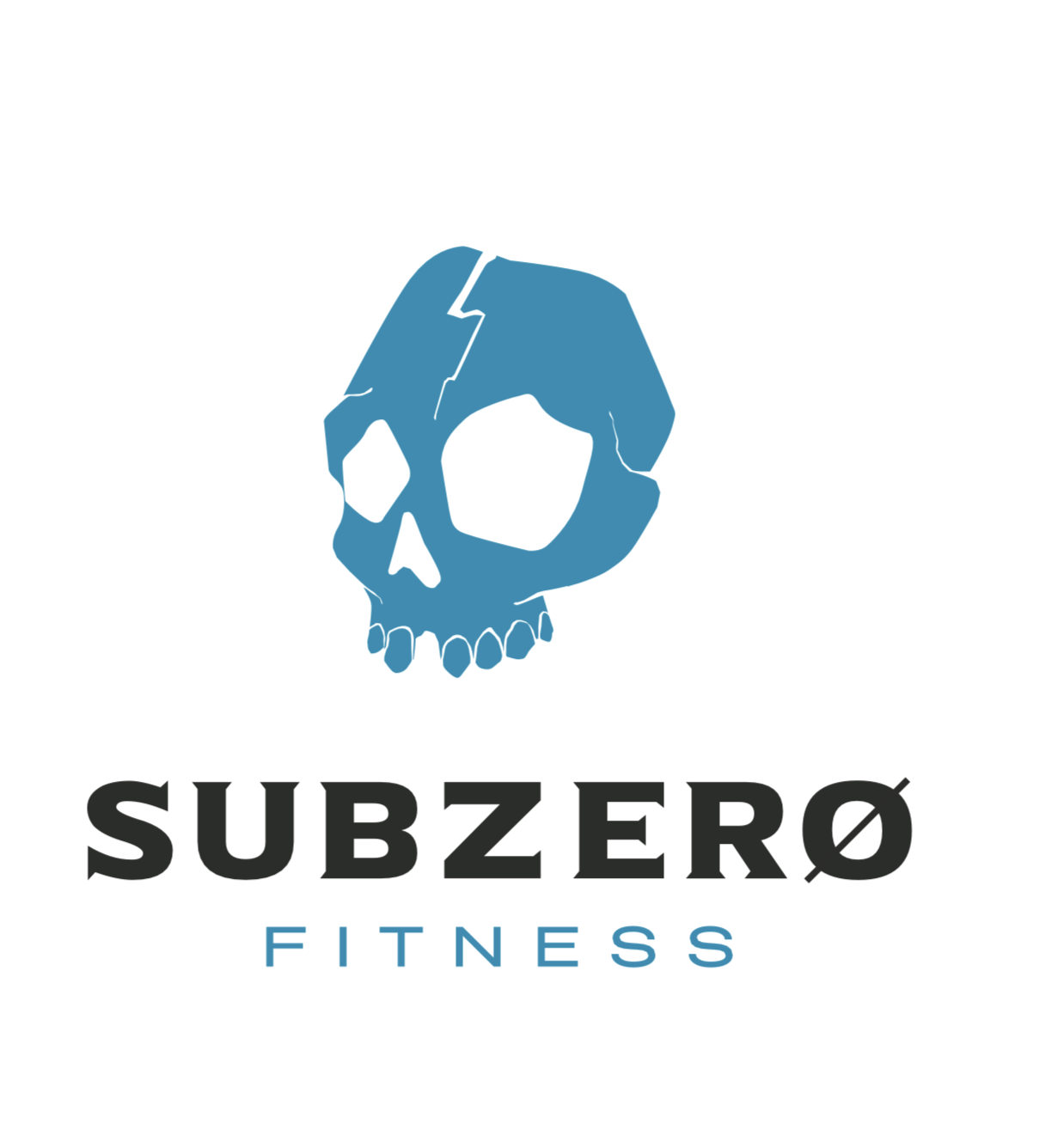 Subzero fitness
