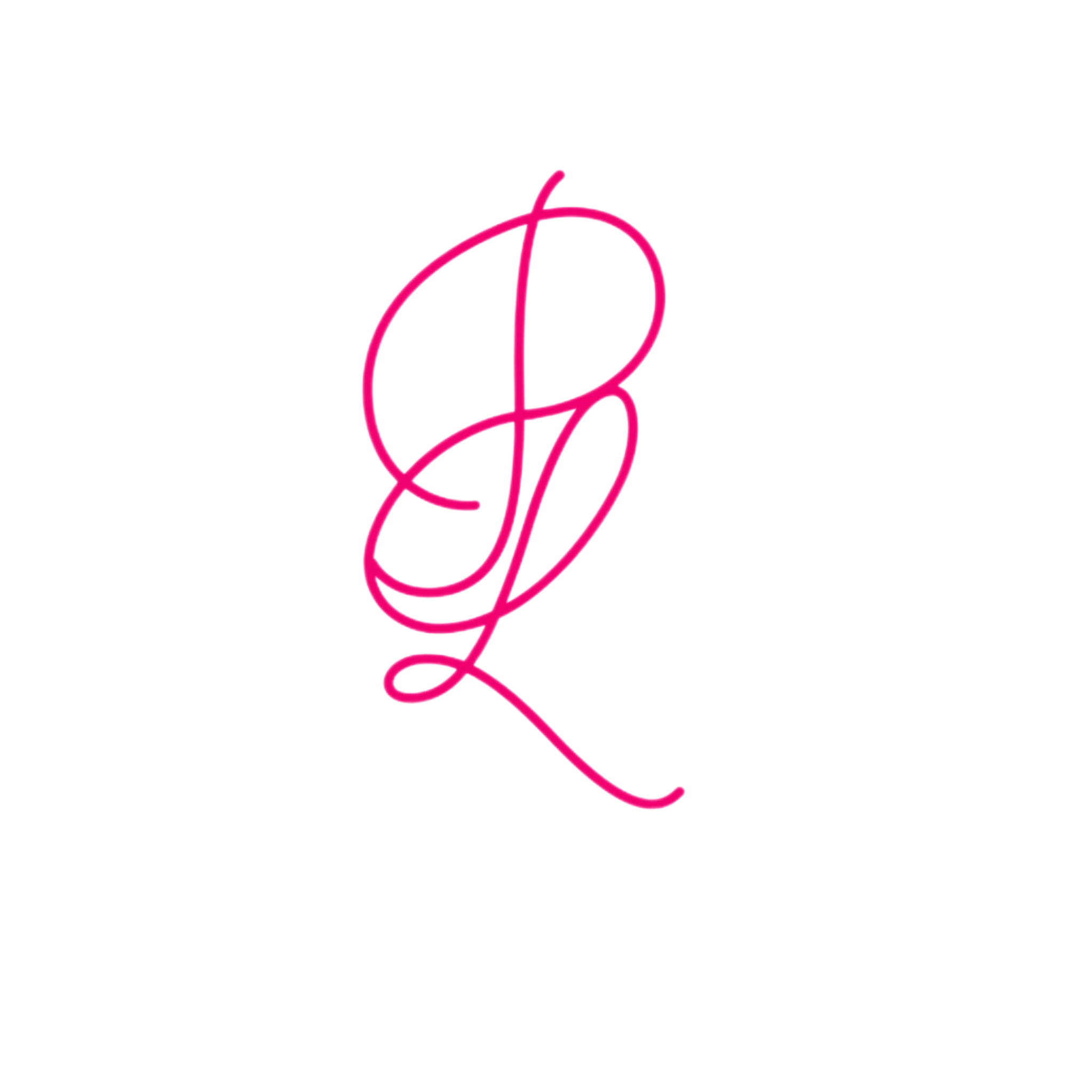 P.L.Fitness Community